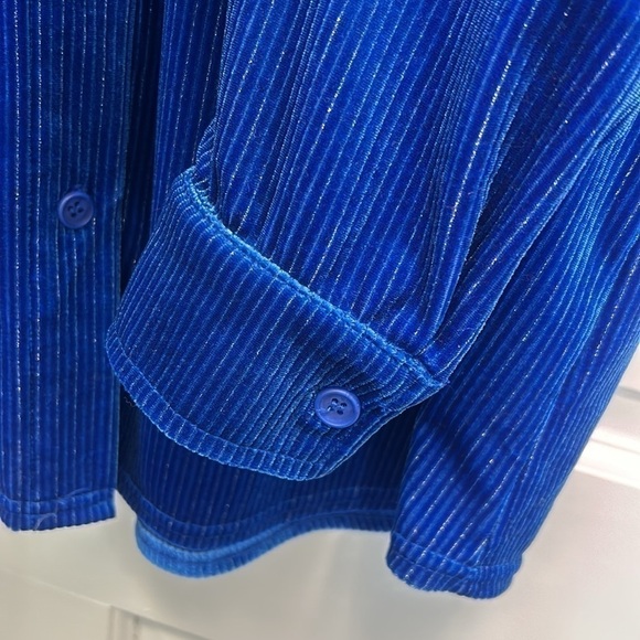 LUX SOFT SURROUNDINGS BLUE VELVET Thin Metallic Stripes Long Sleeve Shirt - Picture 9 of 11